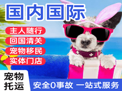 黄山屯溪航空快运国际宠物托运 【国